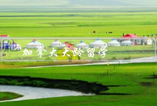 加拿大大龄留学，留学动机／挑战与机遇／影响与建议