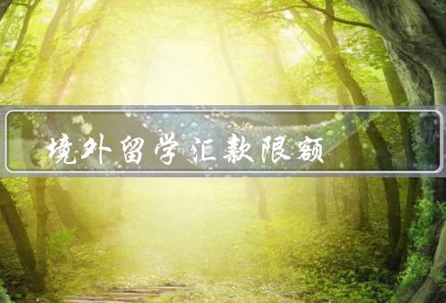 境外留学汇款限额（境外留学汇款限额的意义）