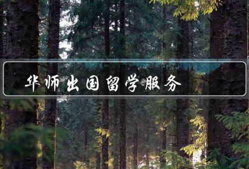 华师出国留学服务中心，出国前的咨询指导、申请材料准备