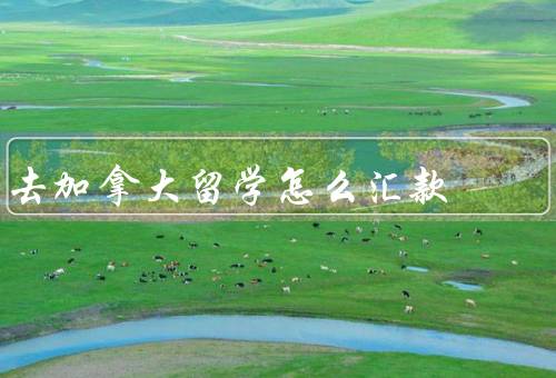 去加拿大留学怎么汇款（合适的汇款方式、了解汇款手续和费用）