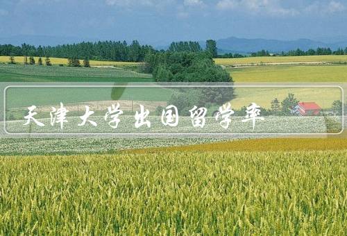 天津大学出国留学率，出国留学的意义