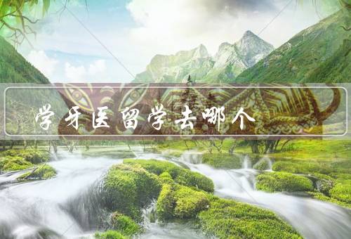 学牙医留学去哪个国家，教育质量／实践机会／就业前景