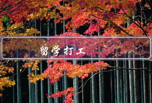 俄罗斯留学打工（优势、方式、注意事项）