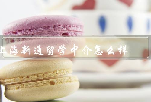 上海新通留学中介怎么样（专业的顾问团队／全方位的留学服务）