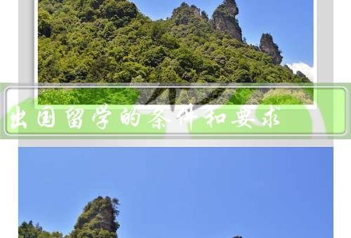 出国留学的条件和要求（语言能力、学历背景、经济能力）