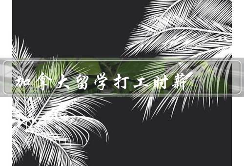 加拿大留学打工时薪，加拿大的最低工资标准、法律保护