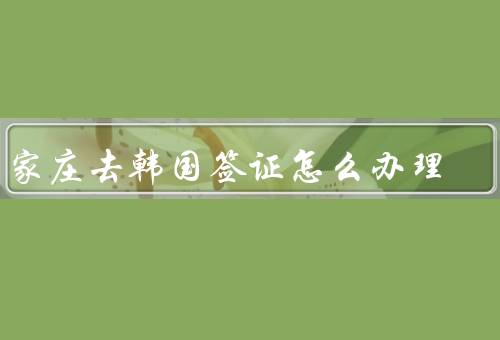 石家庄去韩国签证怎么办理，准备材料／在线预约／递交材料