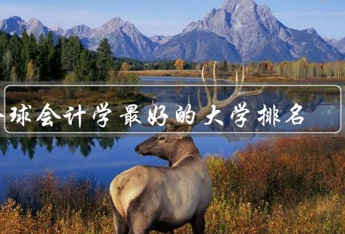 全球会计学最好的大学排名（美国大学、英国大学、澳大利亚大学）