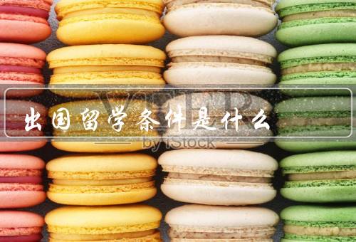 出国留学条件是什么，经济条件／学历条件／语言能力条件