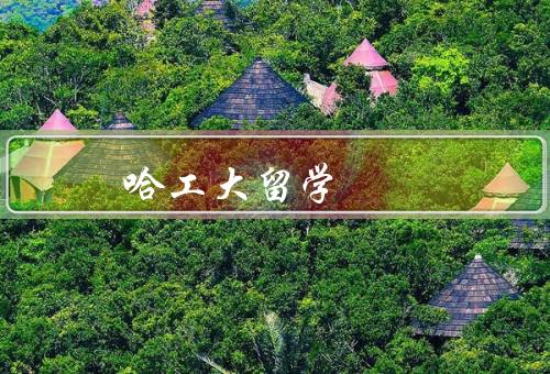 哈工大留学中心（招生与教育管理／生活服务／文化交流）