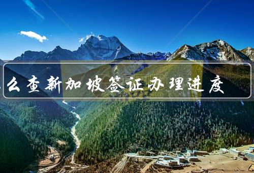 怎么查新加坡签证办理进度（申请材料准备／查询网站）