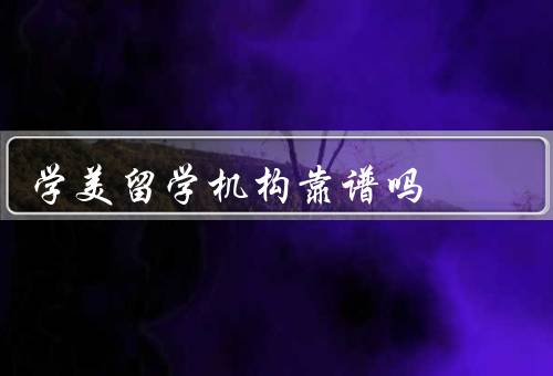 学美留学机构靠谱吗，背景／服务质量／口碑和成绩