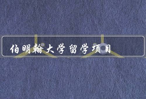 伯明翰大学留学项目（多元化的学科专业／优质的教育资源）