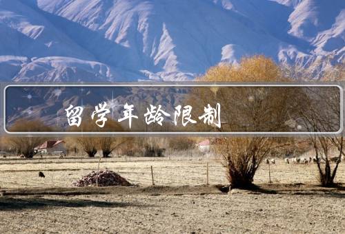 俄罗斯留学年龄限制，原因／影响／留学解决方案