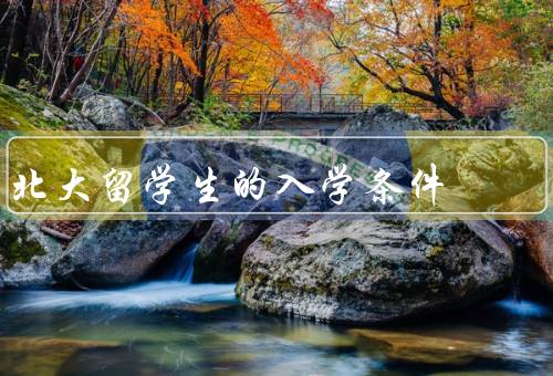 北大留学生的入学条件，入学考试／学历要求／语言要求