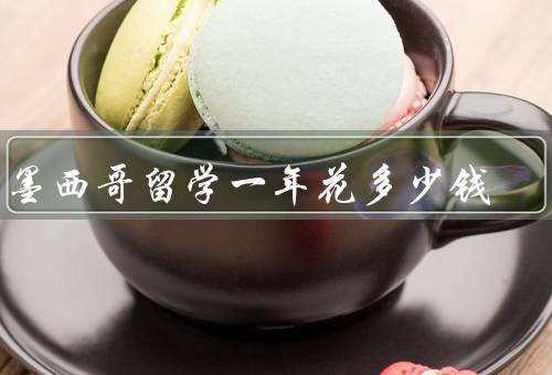 去墨西哥留学一年花多少钱（学费、生活费、住宿费）