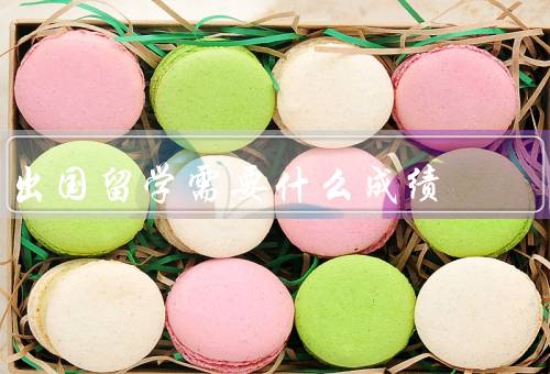 出国留学需要什么成绩（语言成绩、学术成绩、个人素质成绩）