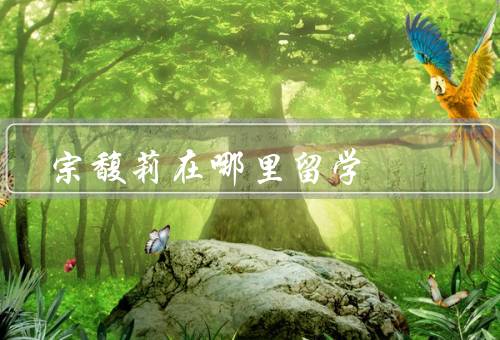 宗馥莉在哪里留学