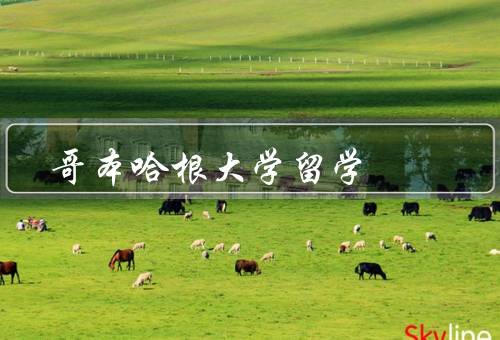 哥本哈根大学留学