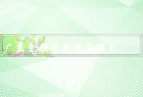 广东金融学院留学项目，概述／优势／总结