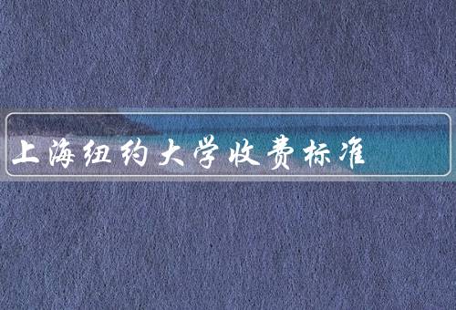 上海纽约大学收费标准（合理性、透明度、对质疑）