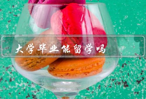 大学毕业能留学吗，经济条件、语言能力、学术背景