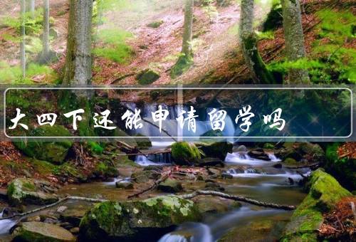 大四下还能申请留学吗（大四下留学申请的时间窗口、留学申请的困难）