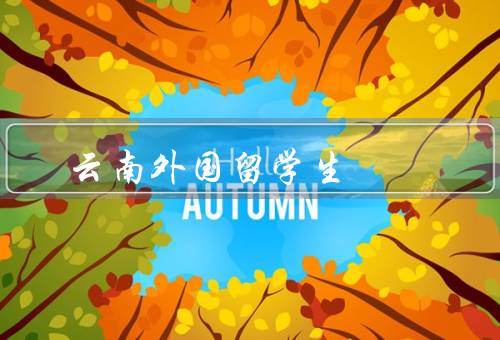 云南外国留学生，外国留学生数量、学习环境和机会、交流与合作