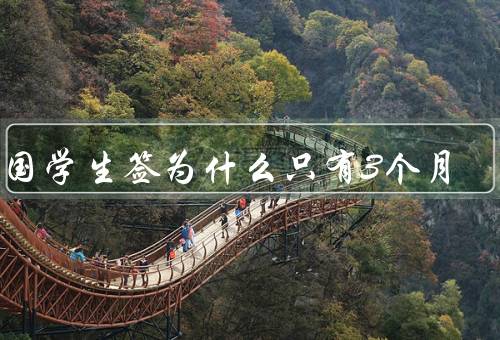 英国学生签为什么只有3个月，签证政策限制／控制移民数量