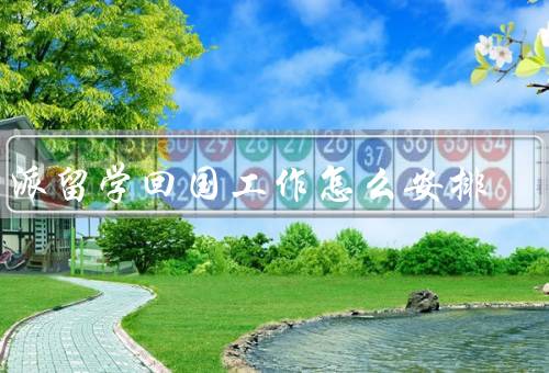 公派留学回国工作怎么安排