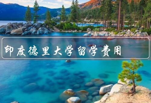 印度德里大学留学费用