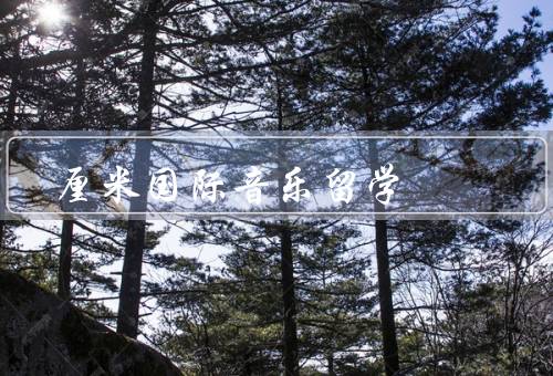 厘米国际音乐留学，背景、优势、流程