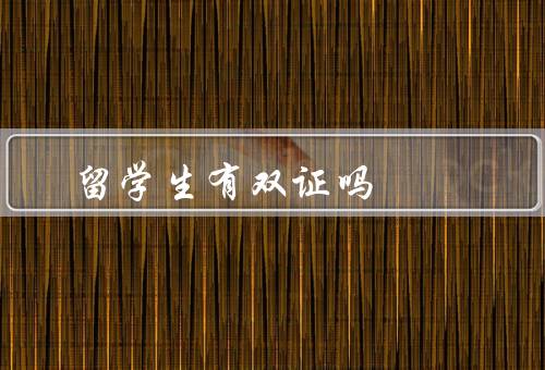 留学生有双证吗，学位证书／签证证书／总结