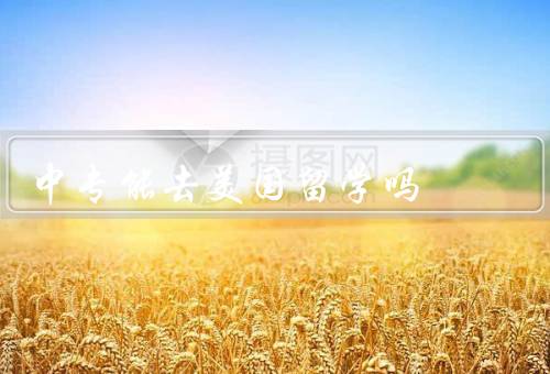 中专能去美国留学吗（中专生背景是否适合留学、留学申请的难度）