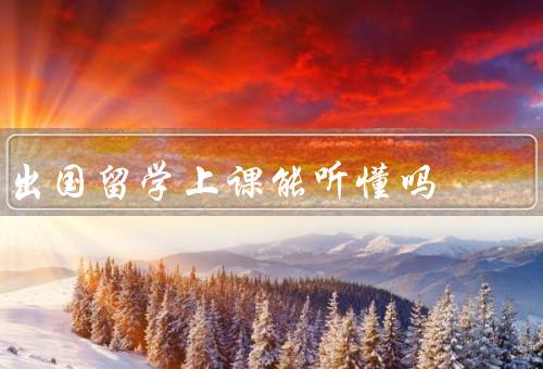 出国留学上课能听懂吗（语言障碍、教学方式、文化差异）