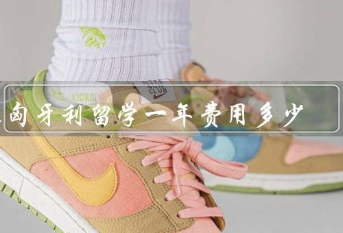 在匈牙利留学一年费用多少，学费／生活费／其他费用