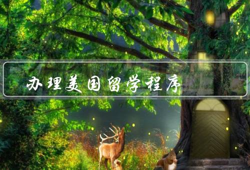 办理美国留学程序（选择合适的学校、准备申请材料、申请签证）
