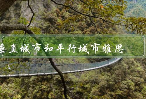 垂直城市和平行城市雅思（垂直城市、平行城市、结论）