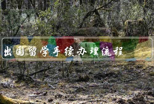 出国留学手续办理流程，准备材料、申请签证、办理留学手续