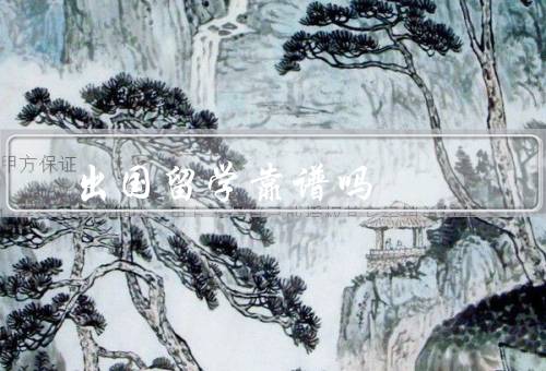 出国留学靠谱吗，背景／机构／个人准备