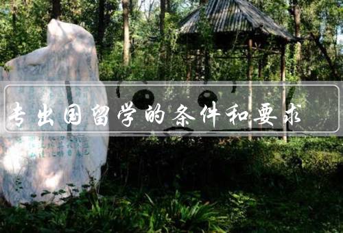 大专出国留学的条件和要求（学历要求、语言要求、经济条件）