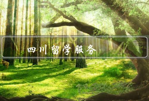 四川留学服务中心（成立背景／内容／优势）