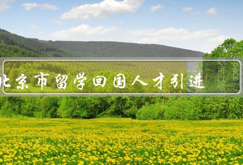 北京市留学回国人才引进（就业机会、创业支持、优惠政策）