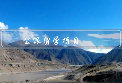 国家公派留学项目（学术交流意义／文化交流意义／人才培养意义）