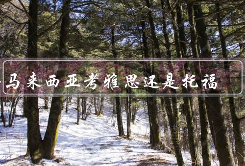 去马来西亚考雅思还是托福（考试内容、形式、难度）