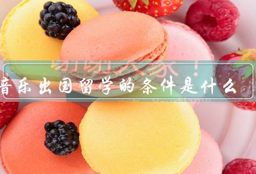 学音乐出国留学的条件是什么，语言能力、学术背景、财力和时间