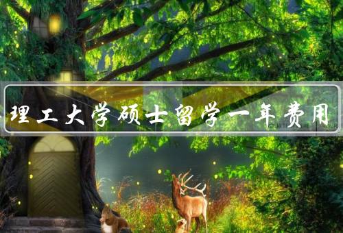 南洋理工大学硕士留学一年费用，学费／生活费／其他费用