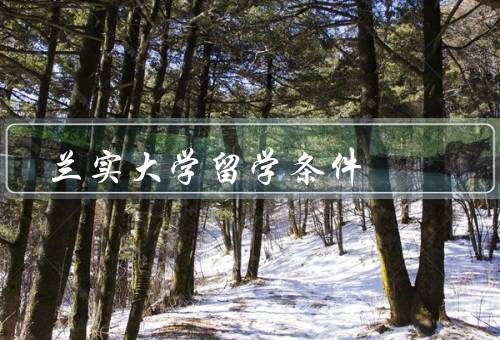 兰实大学留学条件，留学申请要求、奖学金机会、丰富的学术资源