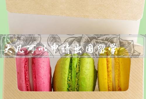 大几可以申请出国留学（丰富的学术背景、较强的语言能力）