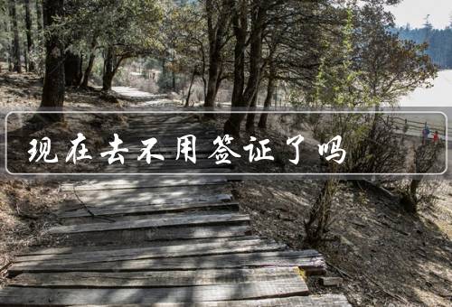 现在去澳门不用签证了吗（免签政策全面实施、注意事项、结语）